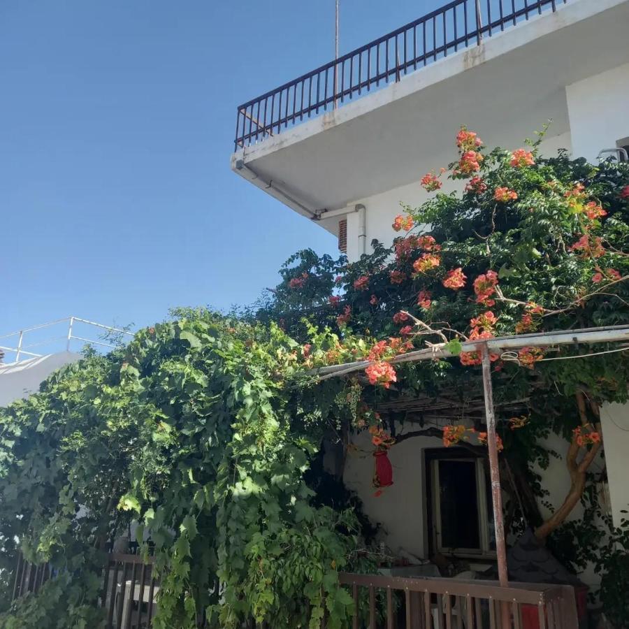 Ampelos Andros Баци Екстериор снимка